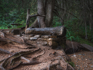 Rustic wooden fountain in forest clearing