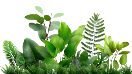 Serene Green Assemblage: An array of diverse, vibrant green leaves and foliage come together, evoking the lush beauty of a tranquil garden. It's a celebration of life, natural textures.