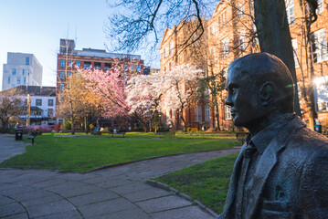 A serene park in Manchester featuring a bronze statue, red brick buildings, cherry blossom trees,...