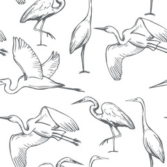 Hand-drawn Great egret (Ardea alba,  common egret). Vector seamless pattern. 
