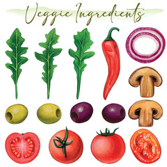 Watercolor hand drawn veggie ingredients