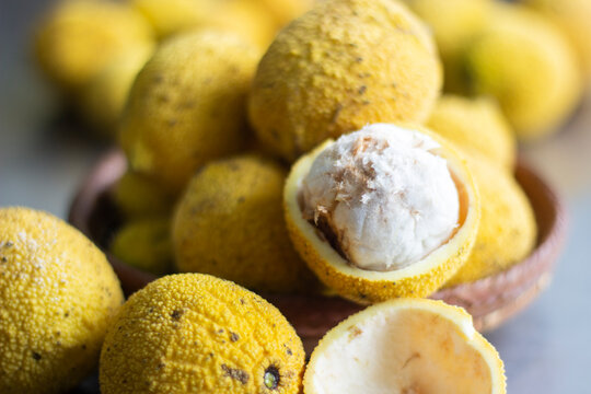 Bacuri Rugoso_ Platonia insignis Mart