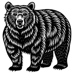 Obraz premium bear