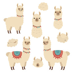 Llama set Cute Alpaca isolated on white.