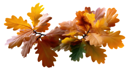 Autumn Leaf Canopy: A vibrant display of autumn leaves transitions from green to golden hues, delicately arranged on a branch, with each leaf revealing intricate details. 