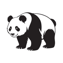 Panda silhouette icon. Panda icons. Vector illustration eps 10