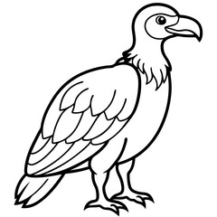 Monochrome Vulture Outline Illustration