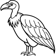 Fototapeta premium Monochrome Vulture Outline Illustration