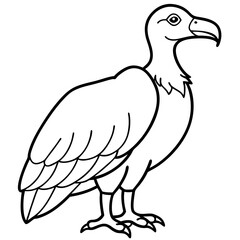 Fototapeta premium Monochrome Vulture Outline Illustration