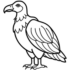 Monochrome Vulture Outline Illustration