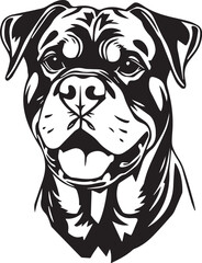Rottweiler dog. Hand drawn vector illustration