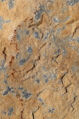 Close up of Intricate patterns on weathered rock surface showcasing natural textures and earthy colors , vertical background.