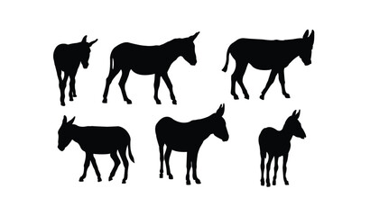Silhouette collection of donkeys in various poses. Donkey collection set on white background.