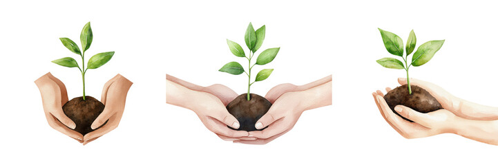 Nurturing Growth Hands Holding Young Plants Symbolizing Hope and Life