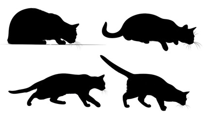 Silhouette Cats in Action: Captivating silhouettes of cats in various poses against an isolated backdrop, elegantly capturing the agility and grace of these beloved feline companions.