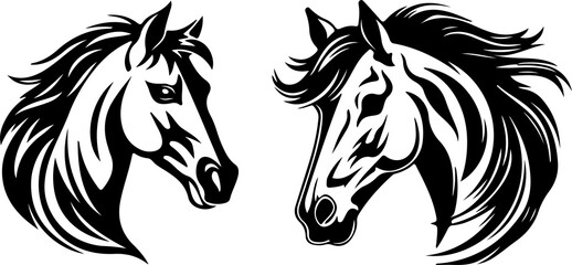 horse vector illustration