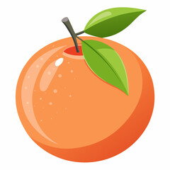 grapefruit fruit vector illustration