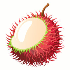 rambutan fruit vector icon