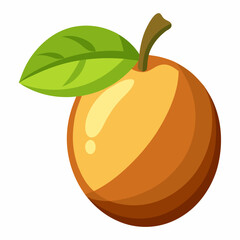vector illustration of an sapodilla fruit
