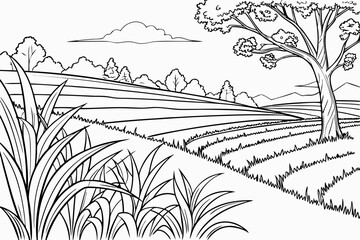 Fototapeta premium Coloring Pages, Beautiful and vast rice field scenery, colorless, black and white