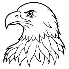 Obraz premium Majestic Bald Eagle Head Line Art Illustration