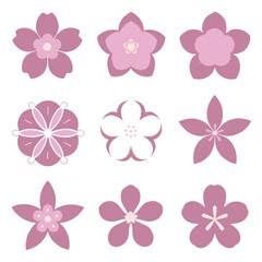 Collection of stylized pink cherry blossoms.