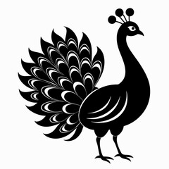 Peacock Silhouette – Clean Vector Art