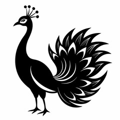 Peacock Silhouette – Clean Vector Art
