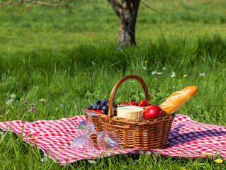 Wicker Picnic Basket Filled with Gourmet Food on Checkered Blanket