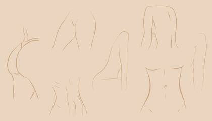 vector illustration of a woman body figure