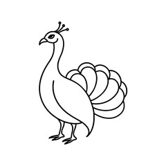 Peacock with open tail in simple lines art vector