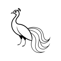Peacock with open tail in simple lines art vector