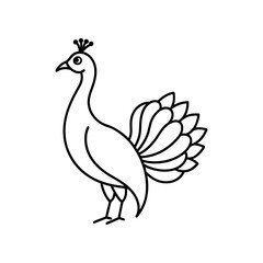 Peacock with open tail in simple lines art vector