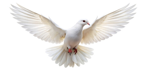 white dove flying isolated on white background PNG. GENERATIVE AI