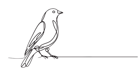 vector illustration of a bird