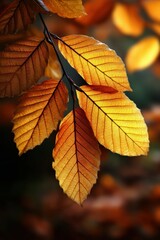 Fototapeta premium Vibrant autumn leaves in rich golden hues
