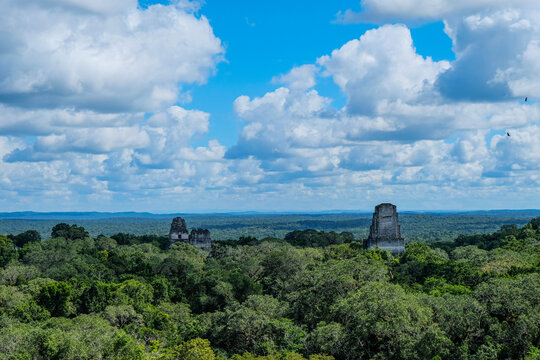 Ancient Mayan ruins surrounded by jungle under a vivid blue sky at Yaxha archaeological site in Guatemala