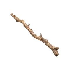 Fototapeta premium Isolated Dry Twisted Tree Branch on Transparent background