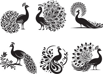 vector set of peacock