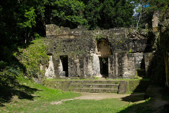 Ancient Mayan ruins surrounded by jungle under a vivid blue sky at Yaxha archaeological site in Guatemala