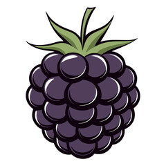 Blackberry Icon: A close-up, detailed illustration of a fresh, ripe blackberry, showcasing its vibrant purple hue, green leaves, and refreshing appeal. 