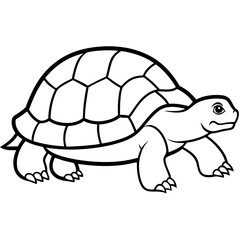 Simple Tortoise Vector Drawing