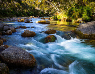 The crystal-clear waters of a spring flowing over smooth river stones surrounded by native bush.