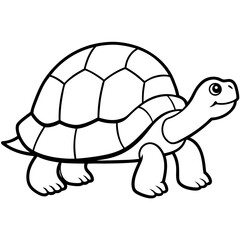 Simple Tortoise Vector Drawing