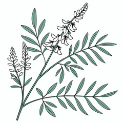 olive branch with leaves and flowers