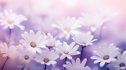 Obraz premium abstract white and purple background