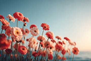 Obraz premium Field of colorful flowers blooming under a clear blue sky near the sea
