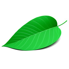 Minimalistic 3D Leaf Icon, cutout