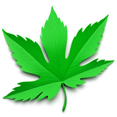 Minimalistic 3D Leaf Icon, cutout