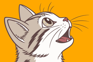 vector illustration of a cat